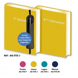 LOT DE 2 AGENDAS SEMESTRIELS 2025 JAUNE