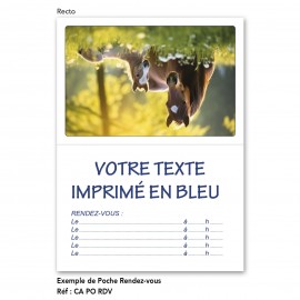 CALENDRIER POCHE RDV