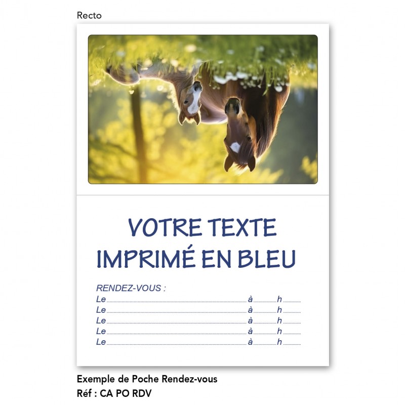 CALENDRIER POCHE RDV